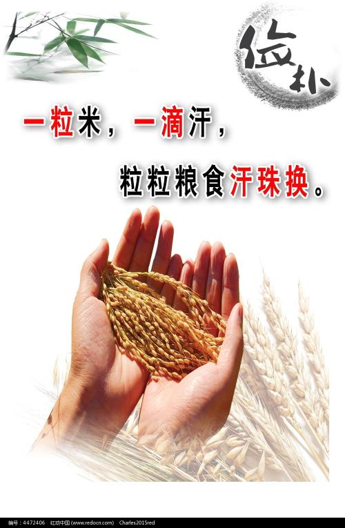 青山学院大学理工科文凭证书